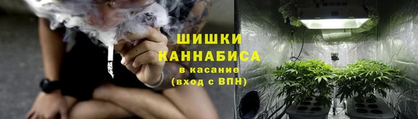 дурь Волосово