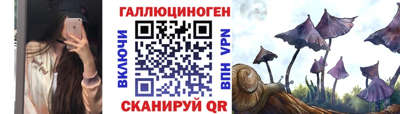 закладка  Вязьма  Псилоцибиновые грибы MAGIC MUSHROOMS 